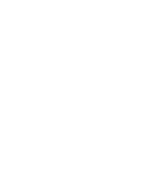 PPS Logo
